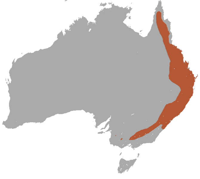 File:Squirrel Glider area.png